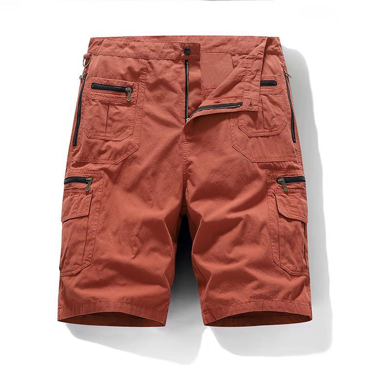Elegant Cotton Shorts