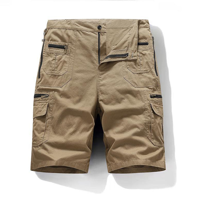 Elegant Cotton Shorts