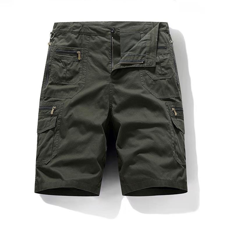 Elegant Cotton Shorts