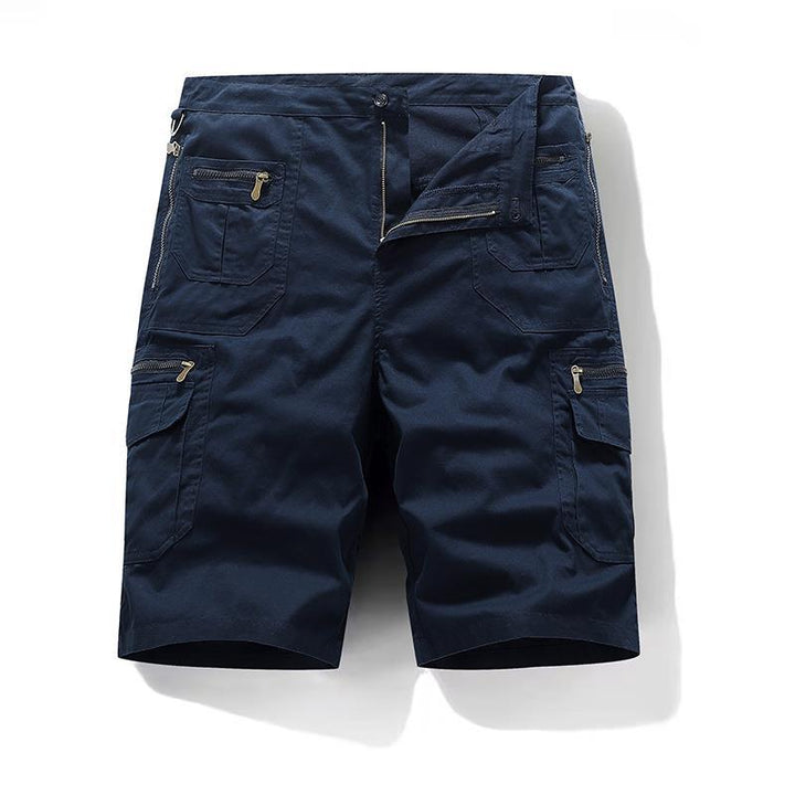 Elegant Cotton Shorts