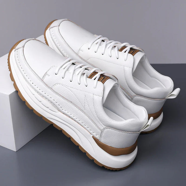 Classic Leather Men's Shoes