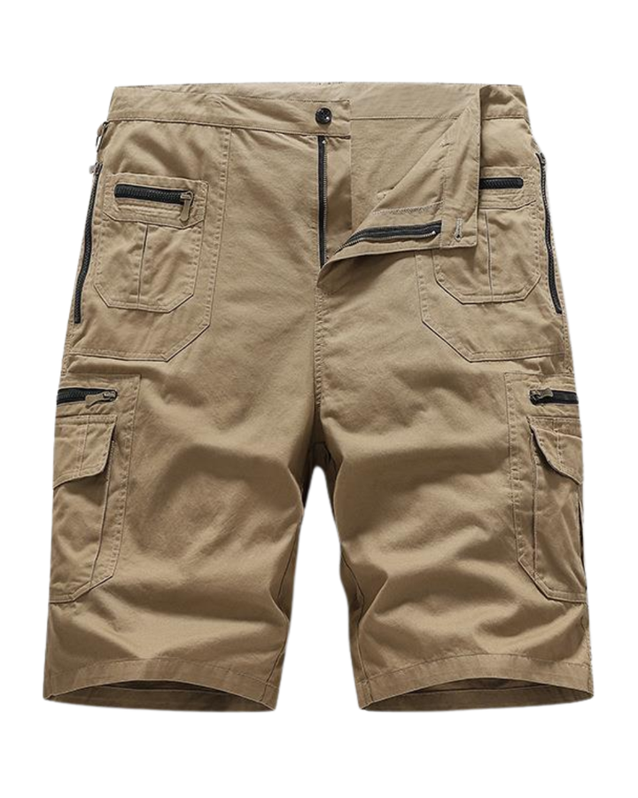 Elegant Cotton Shorts