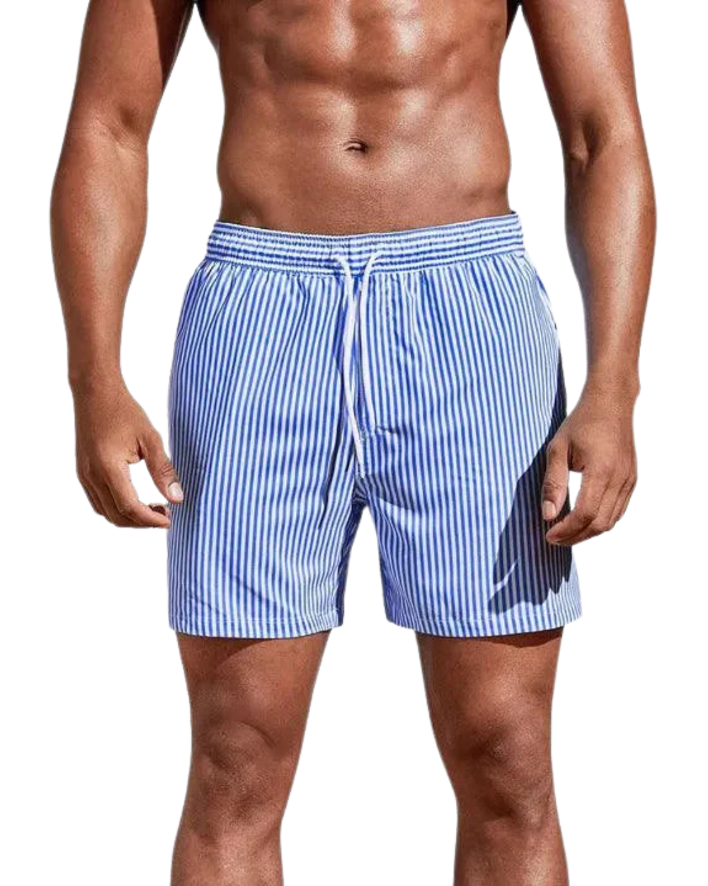Elegant Striped Swim Shorts
