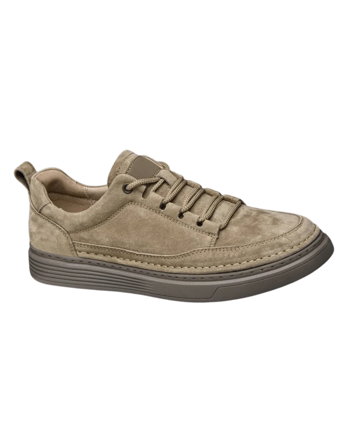 Elegant Suede Shoes